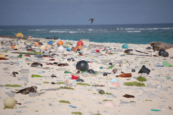 A Pint of Plastic