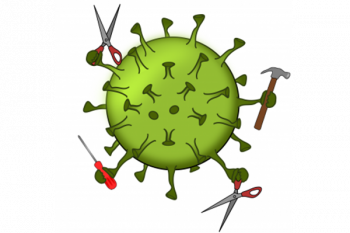 The i-Mpro-tance of proteins in Covid-19